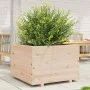Jardinera de madera maciza de pino 70x70x49,5 cm de vidaXL, Maceteros y jardineras - Ref: Foro24-3282524, Precio: 154,71 €, D...