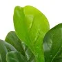 Artificial ficus plant with pot 90 cm green by vidaXL, artificial flora - Ref: Foro24-280172, Price: 36,94 €, Discount: %