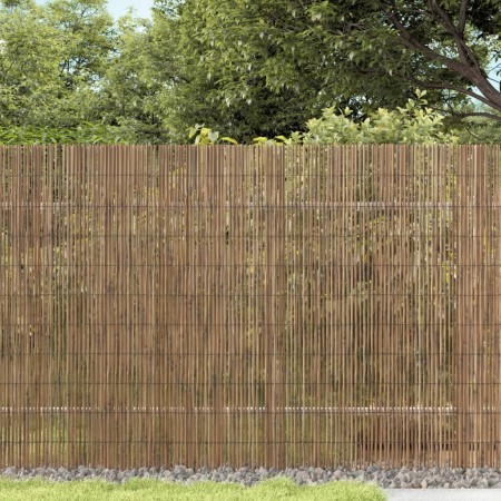 Valla de jardín de caña 400x100 cm by vidaXL, fence panels - Ref: Foro24-365748, Price: 55,50 €, Discount: %