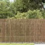 Gartenzaun aus Schilfrohr 600x80 cm von vidaXL, Zaunpaneele - Ref: Foro24-365758, Preis: 39,24 €, Rabatt: %
