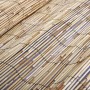Valla de jardín de caña 500x90 cm by vidaXL, fence panels - Ref: Foro24-365753, Price: 43,97 €, Discount: %