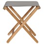 Klappstühle 2 Stk. massives Teakholz und dunkelgrauer Stoff von vidaXL, Gartenstühle - Ref: Foro24-310670, Preis: 89,96 €, Ra...