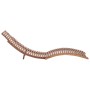 Tumbonas plegables 2 unidades madera maciza de teca de vidaXL, Tumbonas - Ref: Foro24-3073170, Precio: 314,88 €, Descuento: %