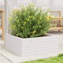 Jardinera de madera maciza de pino blanca 60x60x23 cm von vidaXL, Töpfe und Pflanzgefäße - Ref: Foro24-847189, Preis: 74,92 €...