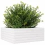 Jardinera de madera maciza de pino blanca 60x60x23 cm de vidaXL, Maceteros y jardineras - Ref: Foro24-847189, Precio: 73,97 €...