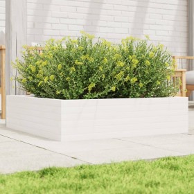 Massive weiße Kiefernholz-Blumenkasten 90x90x23 cm von vidaXL, Töpfe und Pflanzgefäße - Ref: Foro24-847204, Preis: 87,34 €, R...