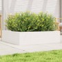 Massive weiße Kiefernholz-Blumenkasten 90x90x23 cm von vidaXL, Töpfe und Pflanzgefäße - Ref: Foro24-847204, Preis: 87,34 €, R...