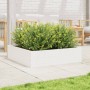 Massive weiße Kiefernholz-Blumenkasten 90x90x23 cm von vidaXL, Töpfe und Pflanzgefäße - Ref: Foro24-847204, Preis: 87,34 €, R...