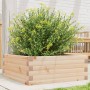 Jardinera de madera maciza de pino 60x60x23 cm de vidaXL, Maceteros y jardineras - Ref: Foro24-847188, Precio: 63,27 €, Descu...