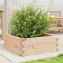 Jardinera de madera maciza de pino 60x60x23 cm de vidaXL, Maceteros y jardineras - Ref: Foro24-847188, Precio: 63,27 €, Descu...