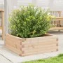 Jardinera de madera maciza de pino 60x60x23 cm de vidaXL, Maceteros y jardineras - Ref: Foro24-847188, Precio: 62,51 €, Descu...
