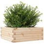 Jardinera de madera maciza de pino 60x60x23 cm de vidaXL, Maceteros y jardineras - Ref: Foro24-847188, Precio: 62,51 €, Descu...