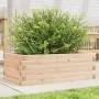 Pflanzgefäß aus massivem Kiefernholz, 70 x 40 x 23 cm von vidaXL, Töpfe und Pflanzgefäße - Ref: Foro24-847218, Preis: 47,41 €...