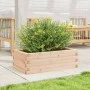 Solid pine wood planter 70x40x23 cm by vidaXL, Pots and planters - Ref: Foro24-847218, Price: 47,41 €, Discount: %