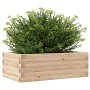 Pflanzgefäß aus massivem Kiefernholz, 70 x 40 x 23 cm von vidaXL, Töpfe und Pflanzgefäße - Ref: Foro24-847218, Preis: 47,41 €...
