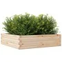 Pflanzgefäß aus massivem Kiefernholz, 90 x 90 x 23 cm von vidaXL, Töpfe und Pflanzgefäße - Ref: Foro24-847203, Preis: 65,49 €...