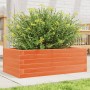 Jardinera de madera maciza pino marrón cera 70x40x23 cm de vidaXL, Maceteros y jardineras - Ref: Foro24-847220, Precio: 56,71...