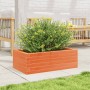 Pflanzgefäß aus massivem, wachsbraunem Kiefernholz, 70 x 40 x 23 cm von vidaXL, Töpfe und Pflanzgefäße - Ref: Foro24-847220, ...