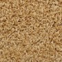 Stair tread carpets 15 units cream 56x17x3 cm by vidaXL, Stair mats - Ref: Foro24-133896, Price: 86,39 €, Discount: %
