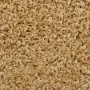 Stair tread carpets 15 units cream 56x17x3 cm by vidaXL, Stair mats - Ref: Foro24-133896, Price: 84,42 €, Discount: %