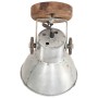 Lámparas de pared/techo industrial 2 uds plateada 20x25 cm E27 de vidaXL, Lámparas - Ref: Foro24-320504, Precio: 57,08 €, Des...