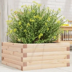 Pflanzgefäß aus massivem Kiefernholz, 50 x 50 x 23 cm von , Töpfe und Pflanzgefäße - Ref: Foro24-847183, Preis: 53,75 €, Raba...