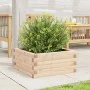 Solid pine wood planter 50x50x23 cm by , Pots and planters - Ref: Foro24-847183, Price: 53,71 €, Discount: %