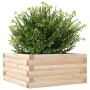 Pflanzgefäß aus massivem Kiefernholz, 50 x 50 x 23 cm von , Töpfe und Pflanzgefäße - Ref: Foro24-847183, Preis: 53,75 €, Raba...