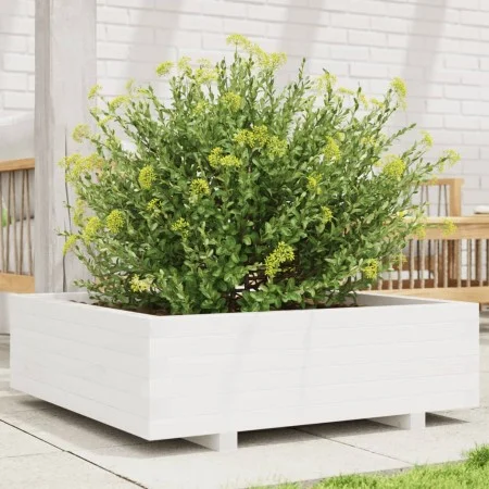 Pflanzgefäß aus massivem Weißkiefernholz, 80 x 80 x 26,5 cm von , Töpfe und Pflanzgefäße - Ref: Foro24-847309, Preis: 99,80 €...