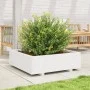 Pflanzgefäß aus massivem Weißkiefernholz, 80 x 80 x 26,5 cm von , Töpfe und Pflanzgefäße - Ref: Foro24-847309, Preis: 99,80 €...