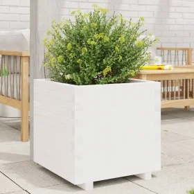 Jardinera madera maciza de pino blanco 50x50x49,5 cm de , Maceteros y jardineras - Ref: Foro24-847354, Precio: 105,73 €, Desc...