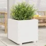 Pflanzgefäß aus massivem Weißkiefernholz, 50 x 50 x 49,5 cm von , Töpfe und Pflanzgefäße - Ref: Foro24-847354, Preis: 95,18 €...