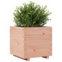 Jardinera madera maciza de abeto Douglas 50x50x49,5 cm de , Maceteros y jardineras - Ref: Foro24-847356, Precio: 95,58 €, Des...
