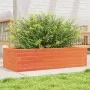 Massive Holzblumenkasten aus braunem Kiefernholz mit Wachsbeschichtung, 90x40x23 cm. von , Töpfe und Pflanzgefäße - Ref: Foro...