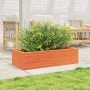 Massive Holzblumenkasten aus braunem Kiefernholz mit Wachsbeschichtung, 90x40x23 cm. von , Töpfe und Pflanzgefäße - Ref: Foro...