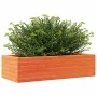 Massive Holzblumenkasten aus braunem Kiefernholz mit Wachsbeschichtung, 90x40x23 cm. von , Töpfe und Pflanzgefäße - Ref: Foro...