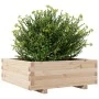 Jardinera de madera maciza de pino 70x70x26,5 cm by , Pots and planters - Ref: Foro24-847303, Price: 73,66 €, Discount: %