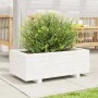 Massive Holzblumenkasten aus weißer Kiefer 70x40x26,5 cm von , Töpfe und Pflanzgefäße - Ref: Foro24-847329, Preis: 61,90 €, R...