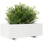 Massive Holzblumenkasten aus weißer Kiefer 70x40x26,5 cm von , Töpfe und Pflanzgefäße - Ref: Foro24-847329, Preis: 61,90 €, R...