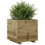 Imprägnierte Kiefernholz-Pflanzschale 50x50x49,5 cm von , Töpfe und Pflanzgefäße - Ref: Foro24-847357, Preis: 117,77 €, Rabat...