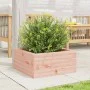 Jardinera de madera maciza Douglas 50x50x23 cm by , Pots and planters - Ref: Foro24-847186, Price: 56,25 €, Discount: %