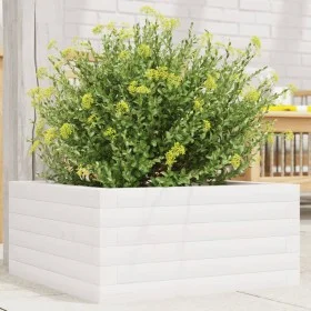 Jardinera de madera maciza de pino blanco 50x50x23 cm by , Pots and planters - Ref: Foro24-847184, Price: 63,45 €, Discount: %