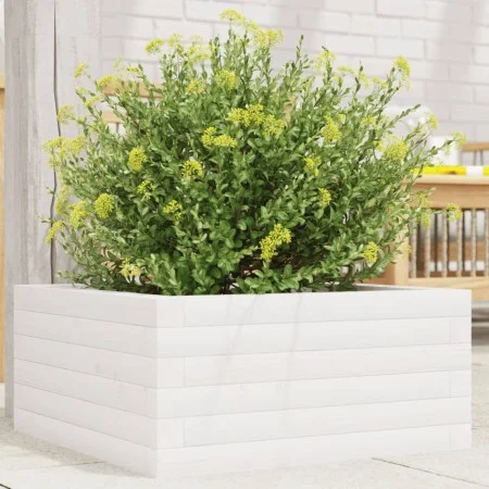 Jardinera de madera maciza de pino blanco 50x50x23 cm de , Maceteros y jardineras - Ref: Foro24-847184, Precio: 63,43 €, Desc...