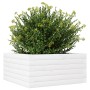 Jardinera de madera maciza de pino blanco 50x50x23 cm von , Töpfe und Pflanzgefäße - Ref: Foro24-847184, Preis: 64,28 €, Raba...