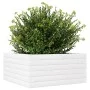 Jardinera de madera maciza de pino blanco 50x50x23 cm de , Maceteros y jardineras - Ref: Foro24-847184, Precio: 63,43 €, Desc...