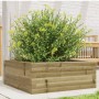 Jardinera de madera de pino impregnada 60x60x23 cm von , Töpfe und Pflanzgefäße - Ref: Foro24-847192, Preis: 55,15 €, Rabatt: %