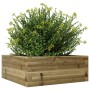 Jardinera de madera de pino impregnada 60x60x23 cm von , Töpfe und Pflanzgefäße - Ref: Foro24-847192, Preis: 55,15 €, Rabatt: %