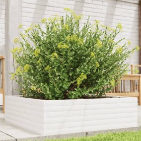 Jardinera de madera maciza de pino blanca 80x80x23 cm von , Töpfe und Pflanzgefäße - Ref: Foro24-847199, Preis: 77,62 €, Raba...