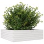 Jardinera de madera maciza de pino blanca 80x80x23 cm von , Töpfe und Pflanzgefäße - Ref: Foro24-847199, Preis: 77,62 €, Raba...