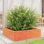 Jardinera de madera maciza pino marrón cera 80x80x23 cm by , Pots and planters - Ref: Foro24-847200, Price: 77,62 €, Discount: %